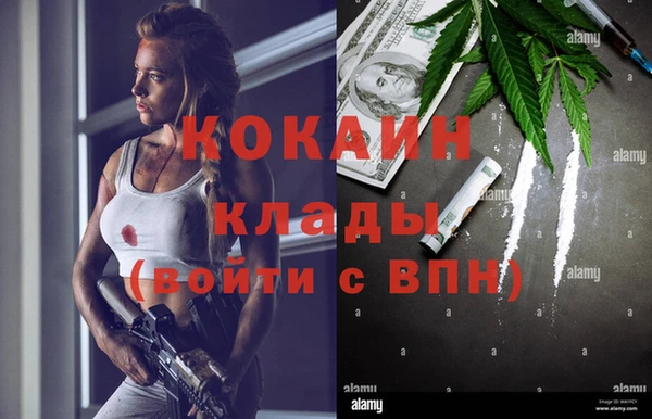 2c-b Горняк