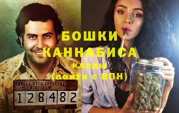 2c-b Горняк