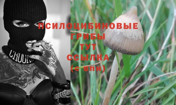 2c-b Горняк