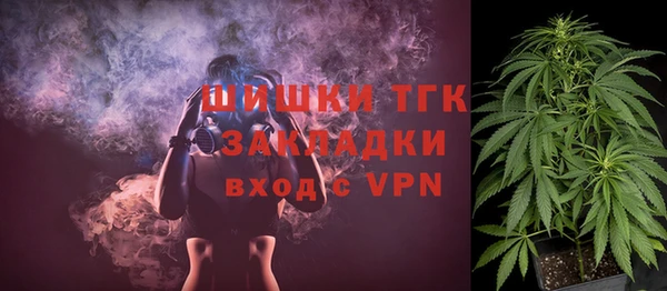 2c-b Горняк